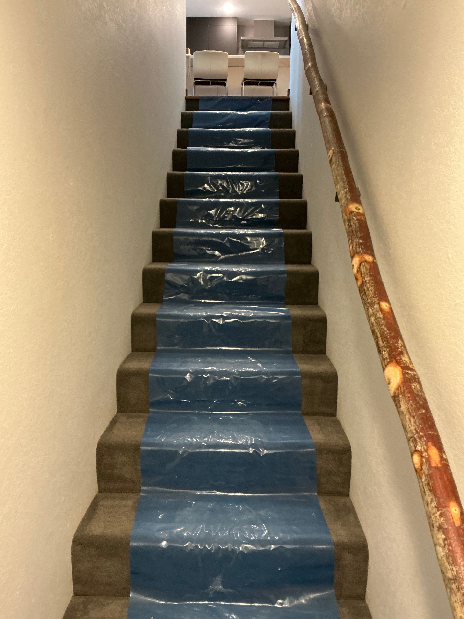 Narrow indoor staircase with blue carpet runner and wooden handrail leading upward
