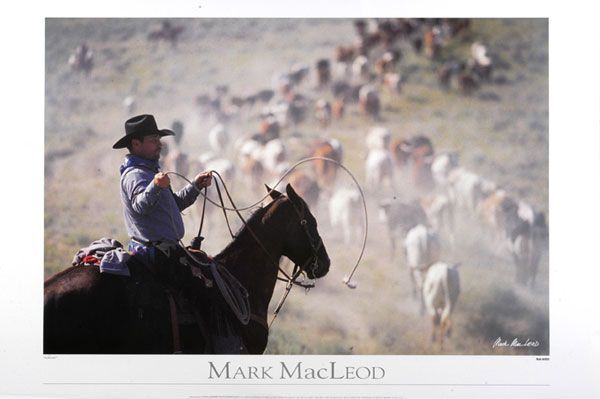 Cowboy on horseback herding cattle through dusty field.