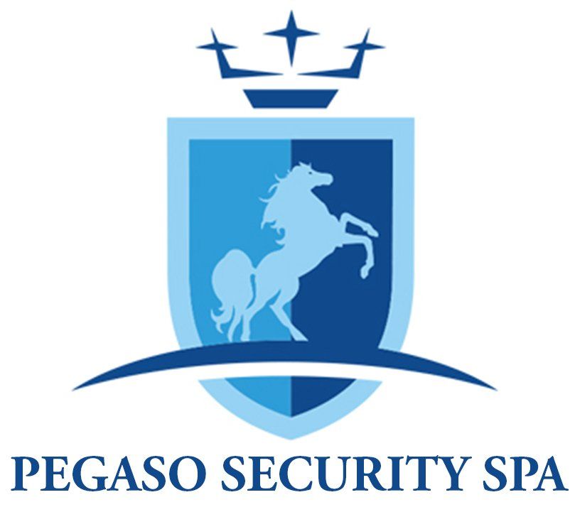 Logo Pegaso Security