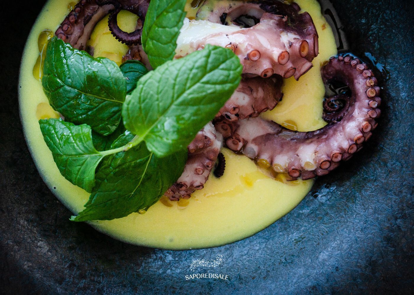 Tentacoli di polpo su una cremosa salsa gialla, guarnita con menta in una ciotola scura.