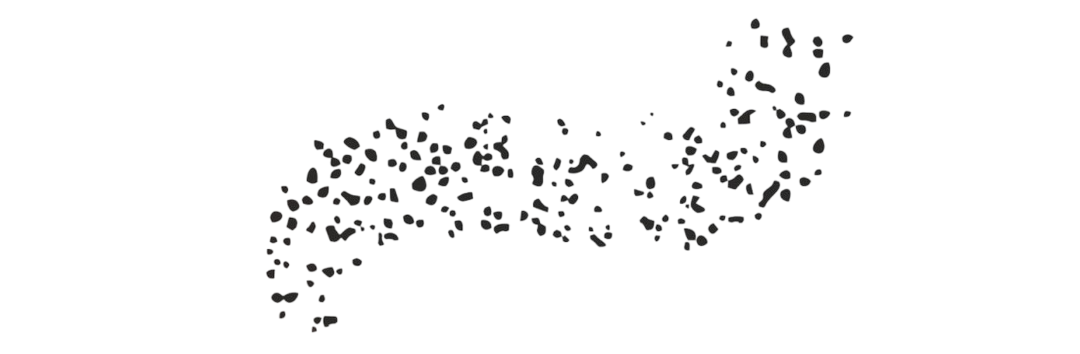 Un gruppo di piccoli punti scuri disposti in una forma curva e amorfa su uno sfondo bianco.