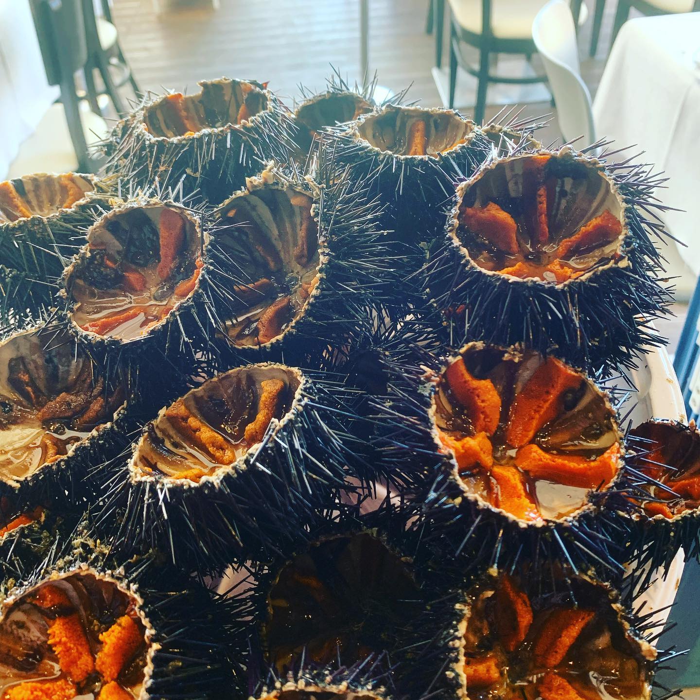 piatto di ricci di mare