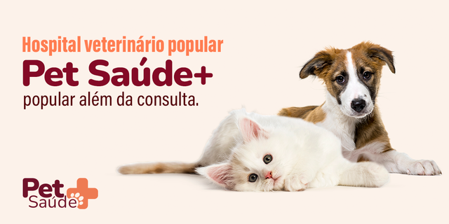 PASTOR ALEMÃO – Consulta Dog Vet