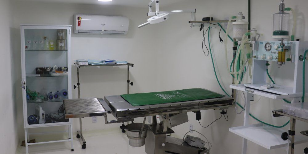 atendimento veterinário popular no rio de janeiro