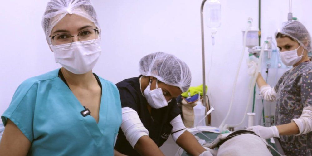 atendimento veterinário popular no rio de janeiro