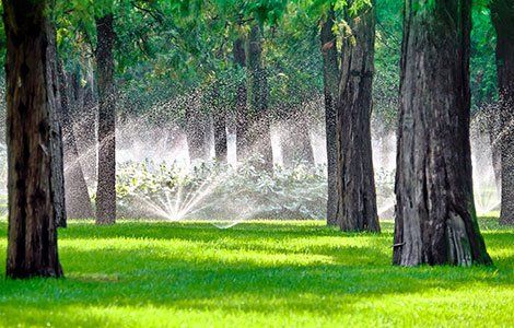 Sprinklers Irrigation - Landscape Contractors in Chesapeake, VA