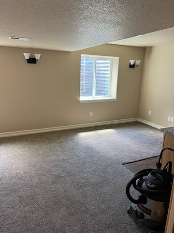 Tan basement room with carpet, window, and a vacuum cleaner.