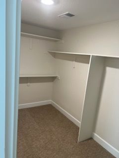 Empty walk-in closet with white shelves and tan carpet.