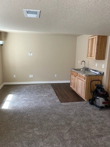 A room with a sink, cabinets, and a carpeted floor. Light beige walls, a ceiling vent, and a shop vacuum.