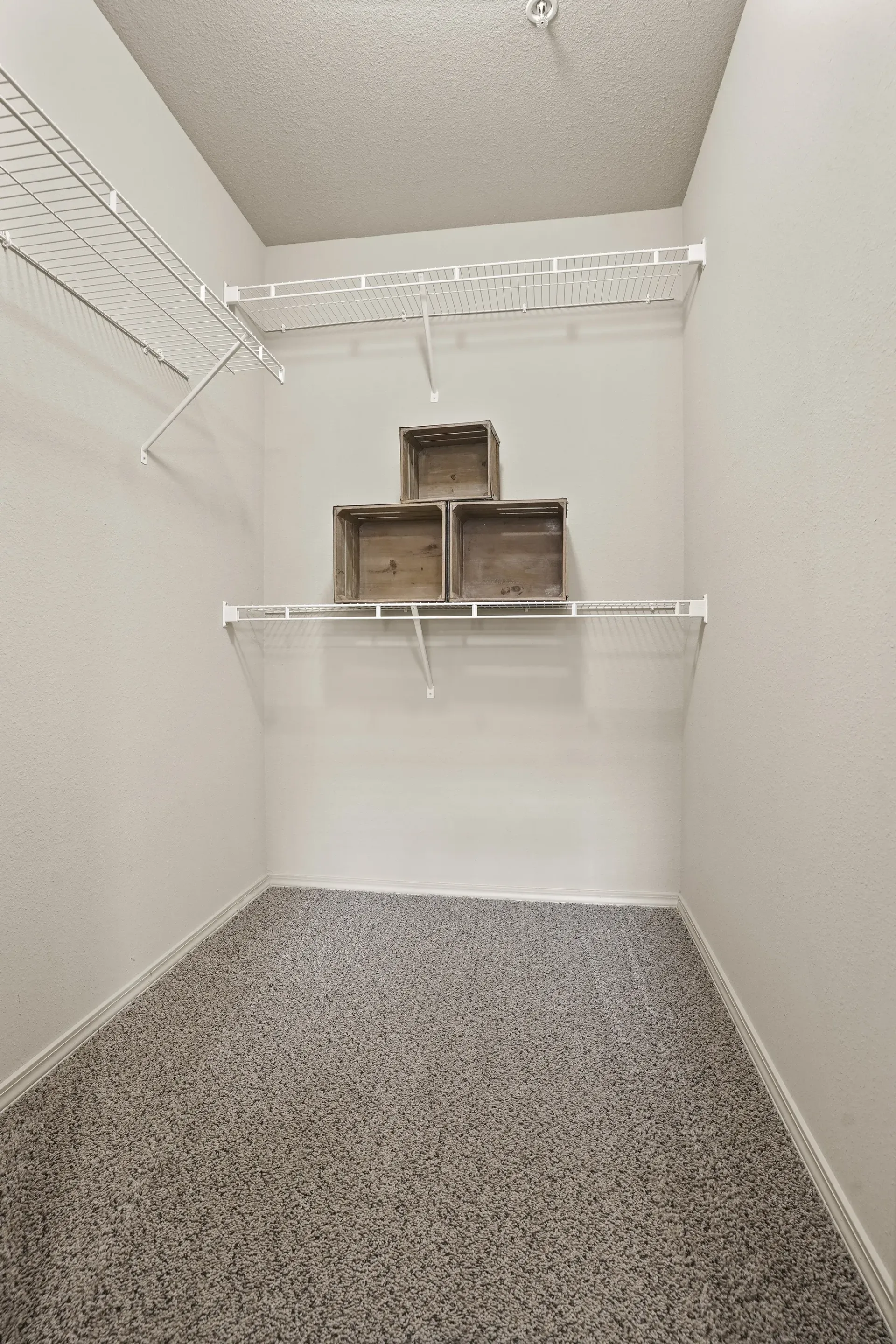 A white room with a shelf and a grey carpet.