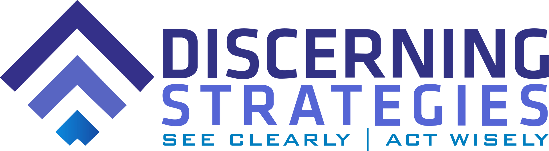 Logo for Discerning Strategies-Local Workshops