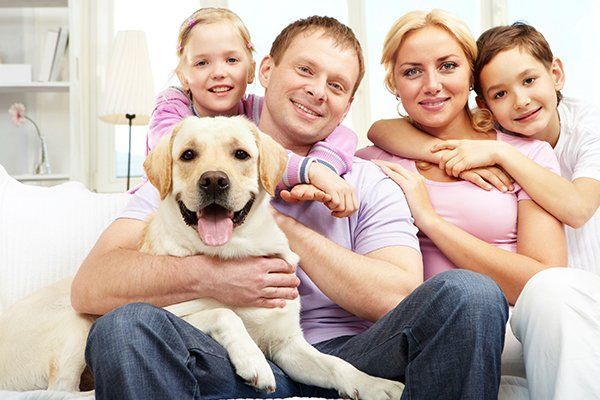 Pet Planning — Winter Haven, FL — The Tessier Law Firm