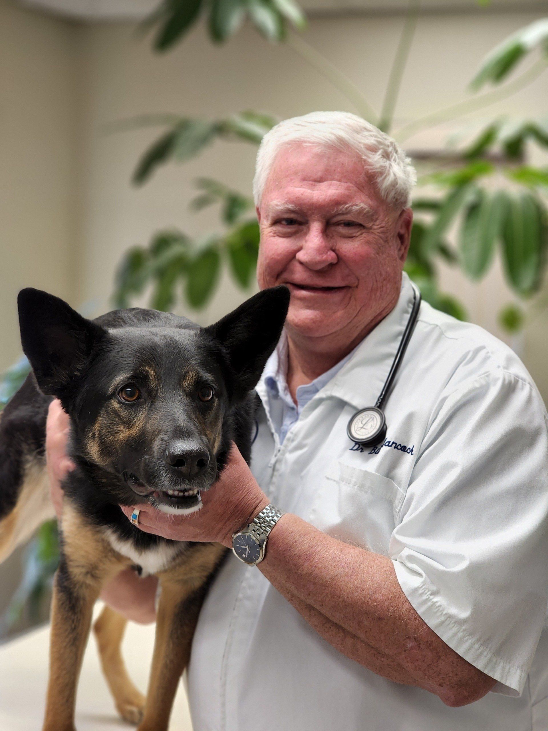 Our Practice Rio Rancho, NM Sunrise Veterinary Clinic