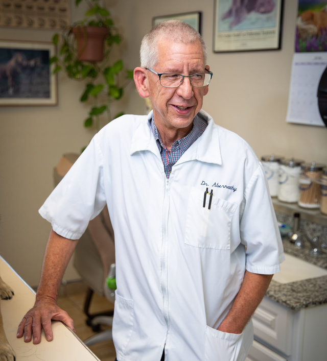 ヒロ・ヤマガタ VETERINARIAN HIROYAMAGATA Our Practice – Rio Rancho, NM – Sunrise Veterinary Clinic