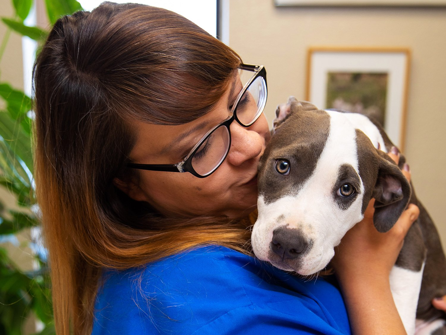 Veterinarian Holding Cat — Rio Rancho, NM — Sunrise Veterinary Clinic