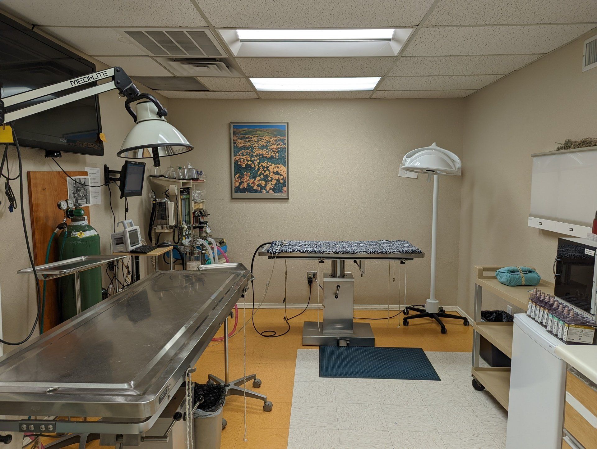 Veterinarian general sterile surgery room