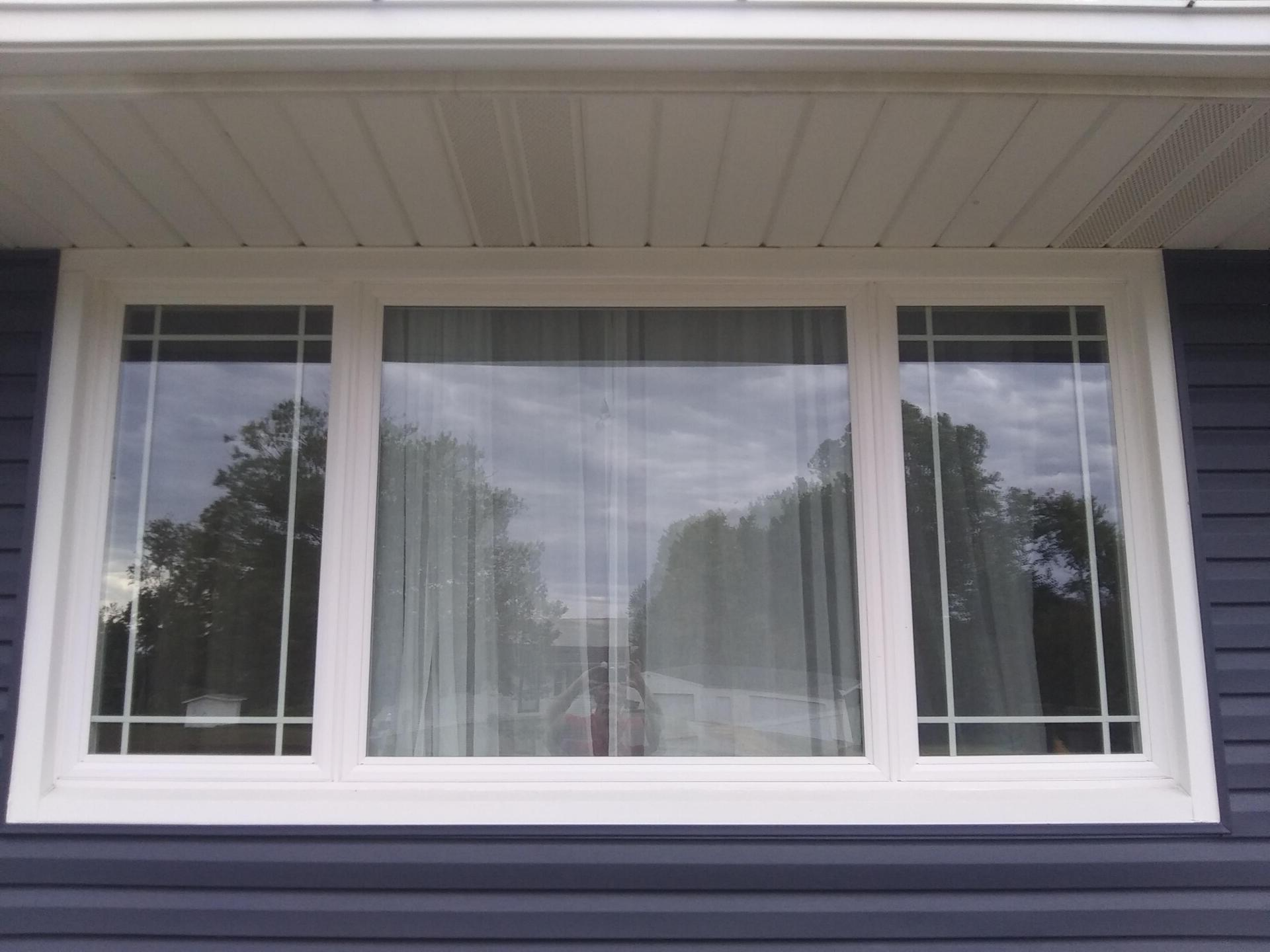 A white window on a blue house with trees reflected in the window.