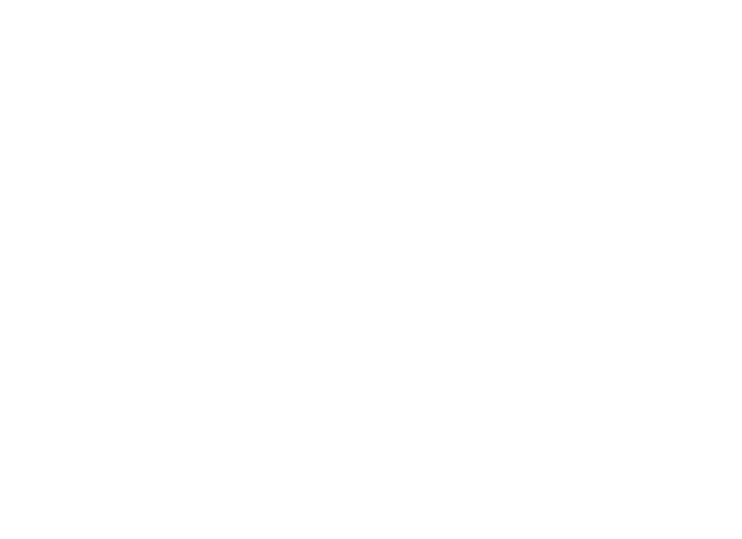 Hearthstone Psychiatry & Wellness Logo