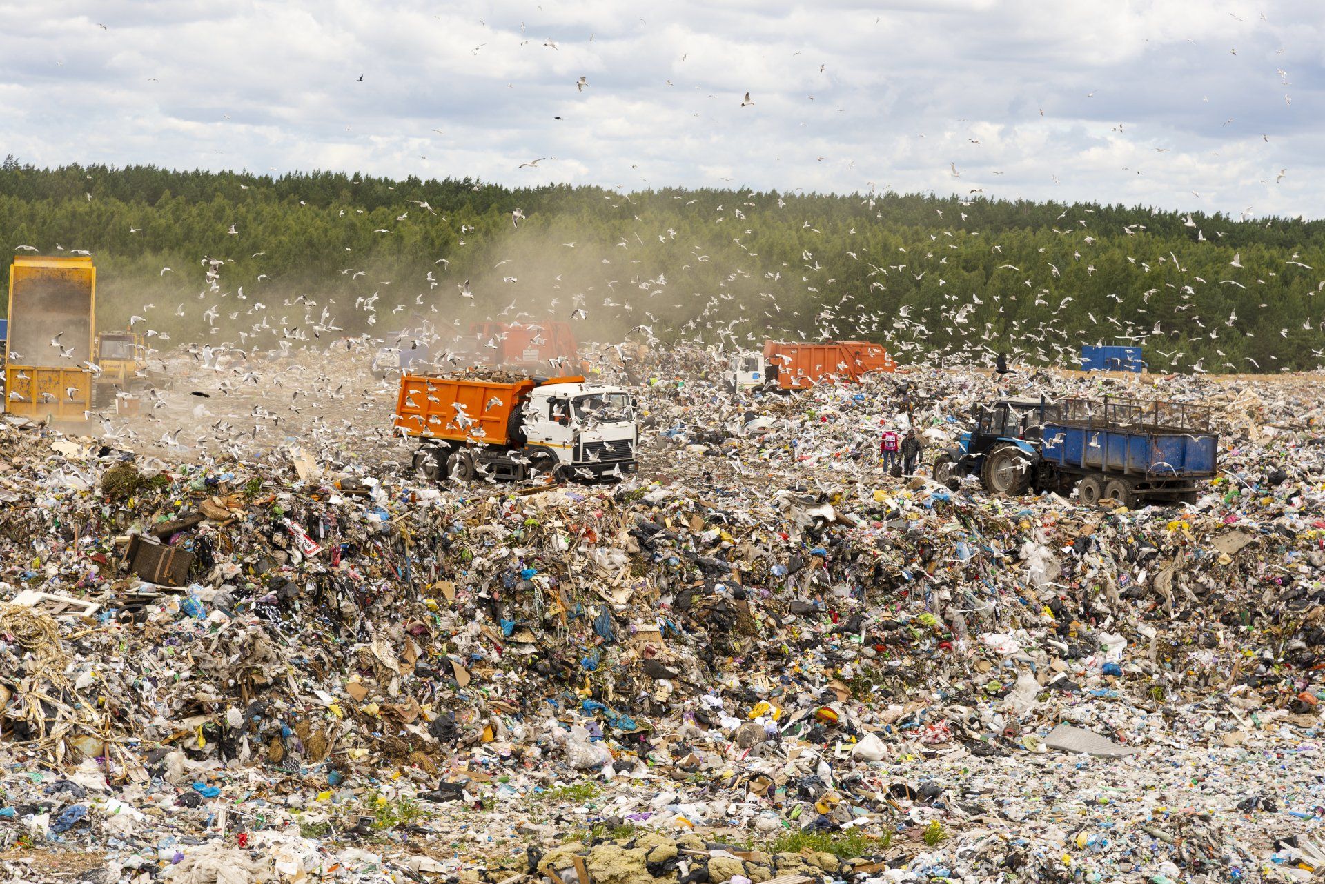 Environmental Toll Of Trash