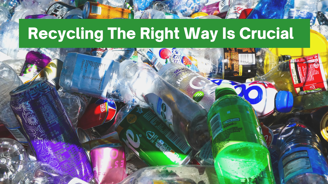 Why Is Recycling The Right Way Crucial?