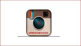 Mindwoods