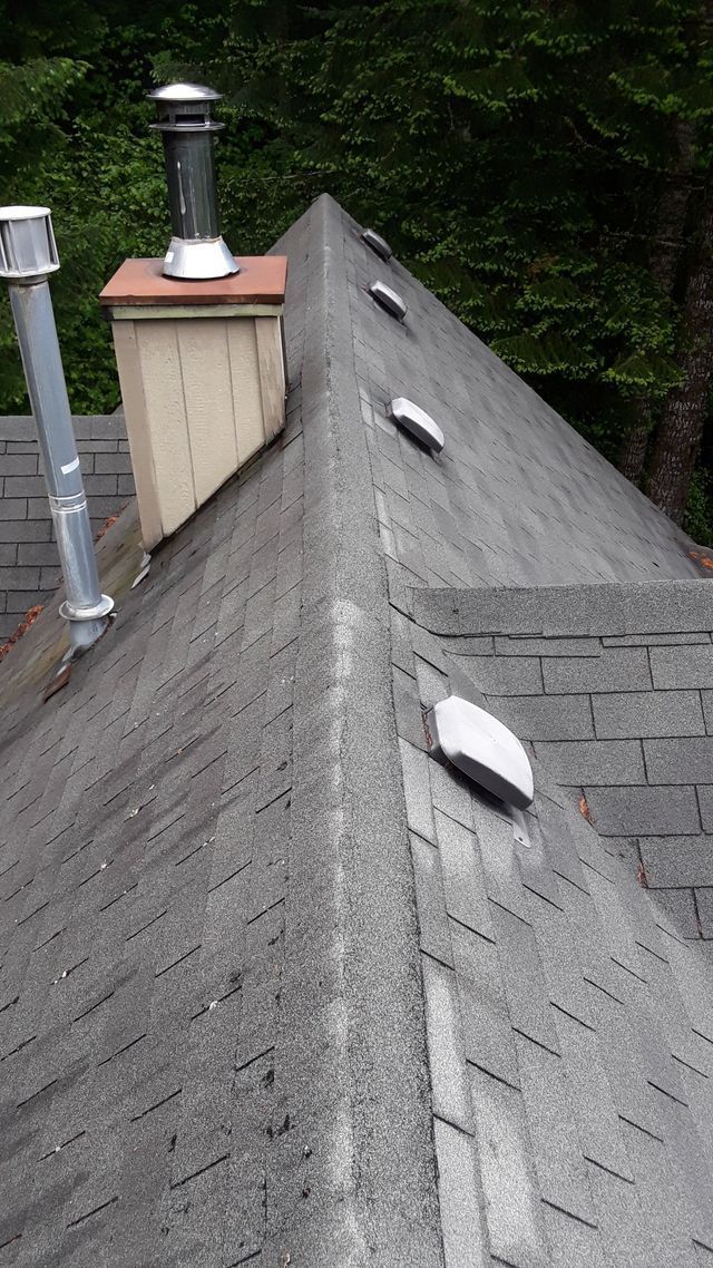 a roof with a chimney on top of it .