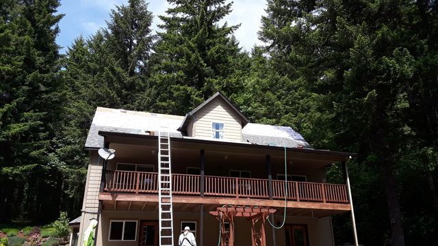 a large house with a ladder on the side of it is surrounded by trees .