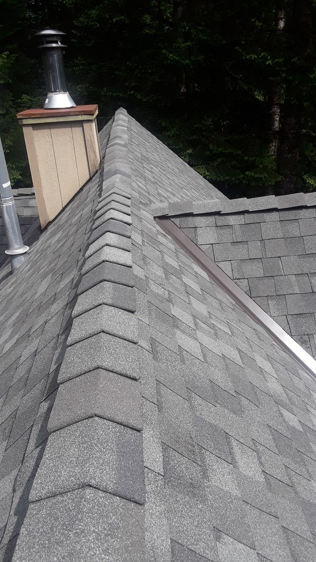 a close up of a roof with a chimney on top of it .