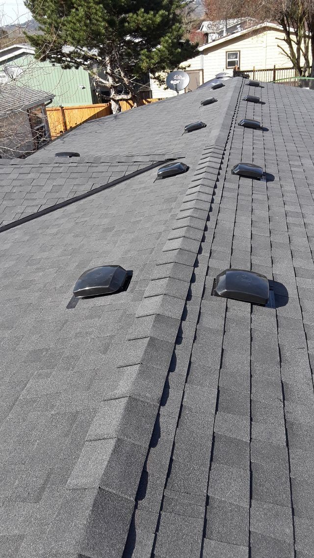 a roof with a lot of shingles and a tree in the background .