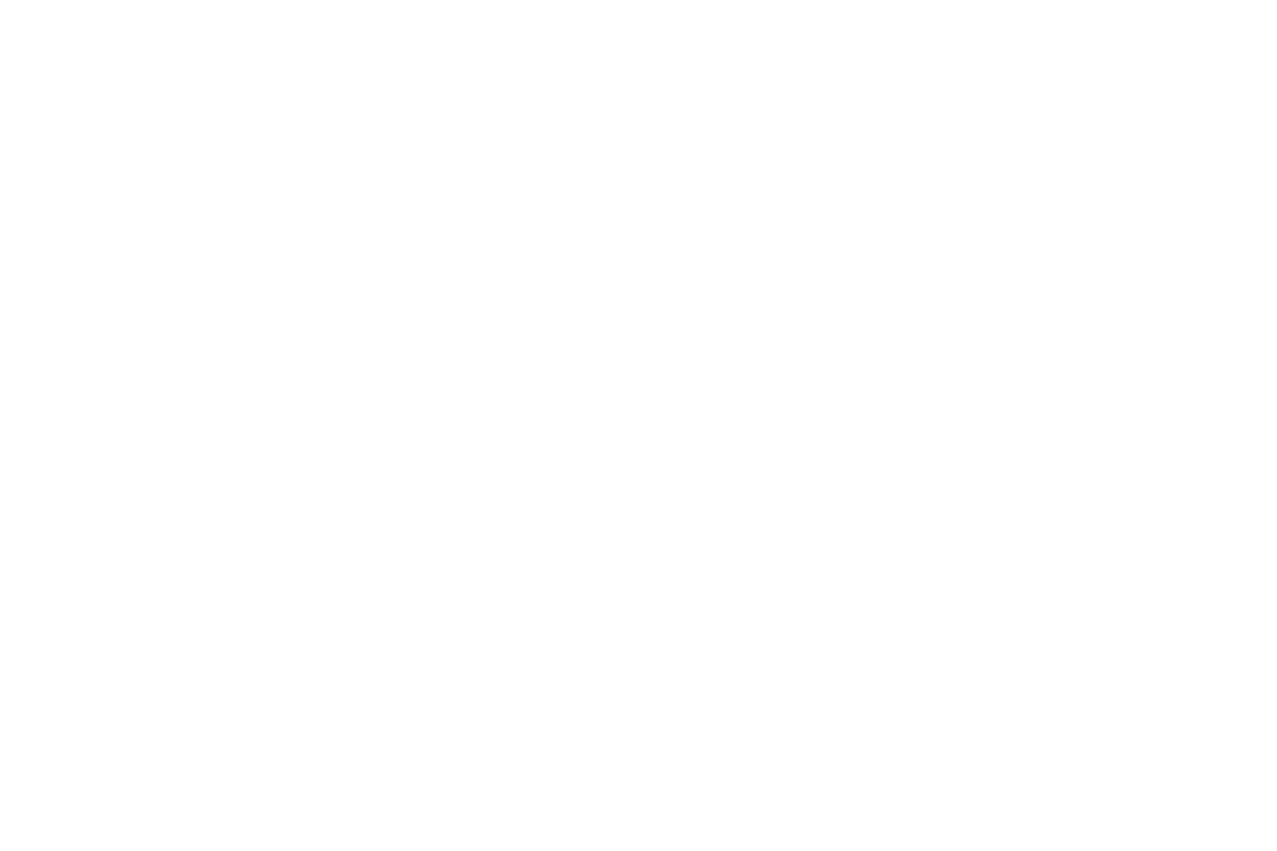 Coda Blackliine logo white