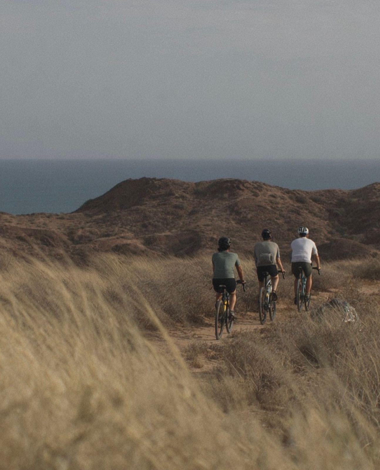 Gente montando en bicicleta por un sendero de grava iluminado por el sol, junto a árboles y una casa.
