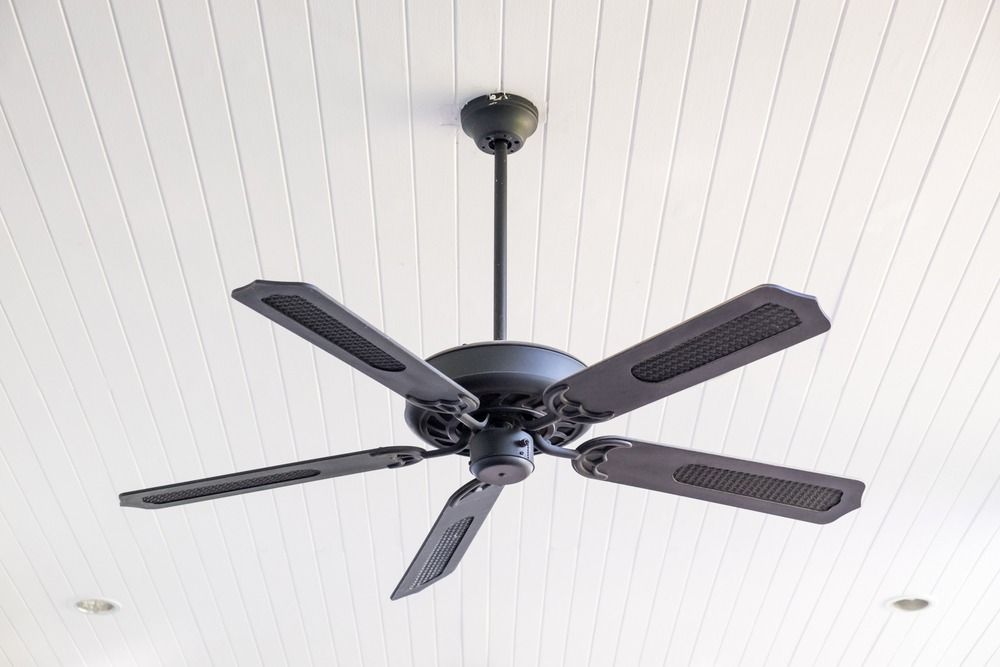 A Black Ceiling fan is Hanging from the ceiling of a room — The Latest Home Appliances in Rockhampton