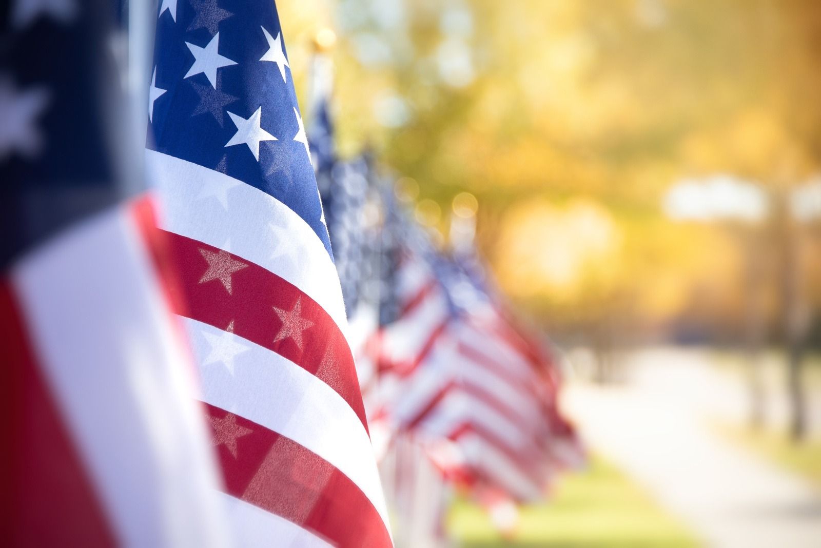 American flags lined up outdoors with a blurred autumn background