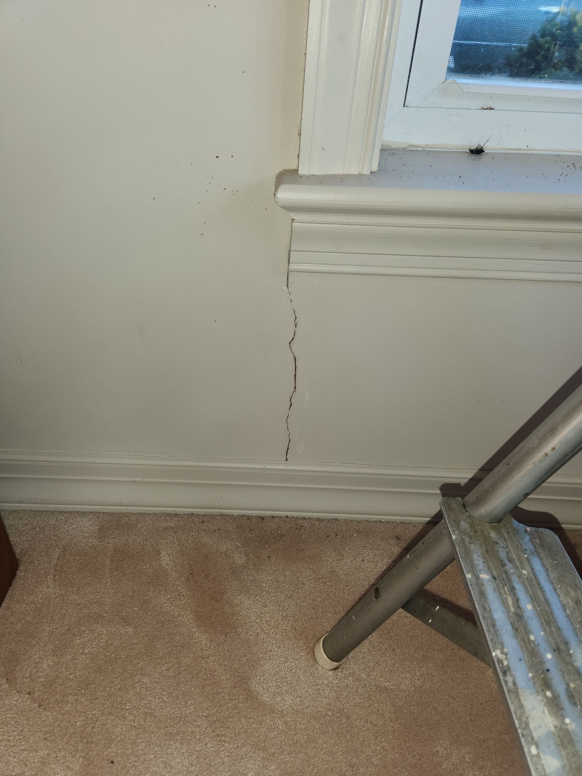 White wall with a vertical crack, near a window frame and carpeted floor. A small ladder is in the foreground.
