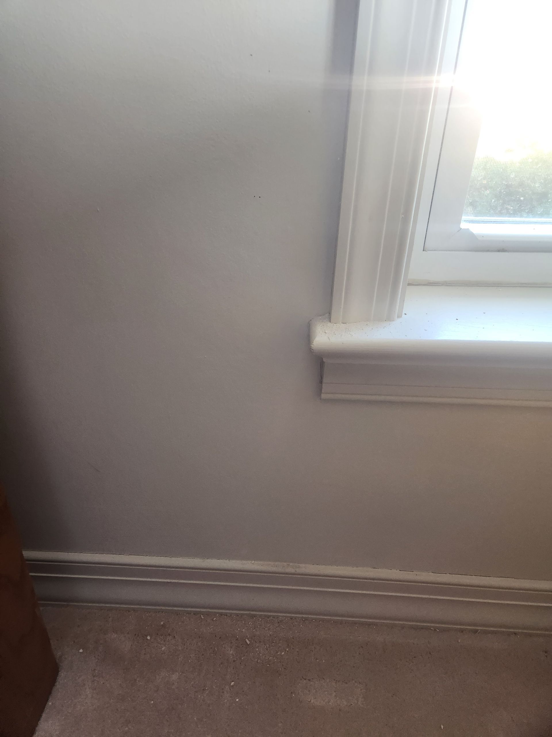 Gray wall with white window trim and baseboard, sunlight through the window.