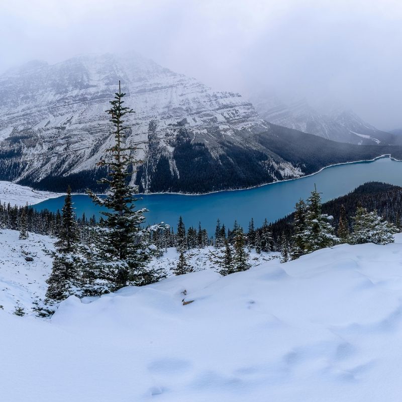 Snowy mountain lake with pine trees and a misty, snow-covered peak under a cloudy sky