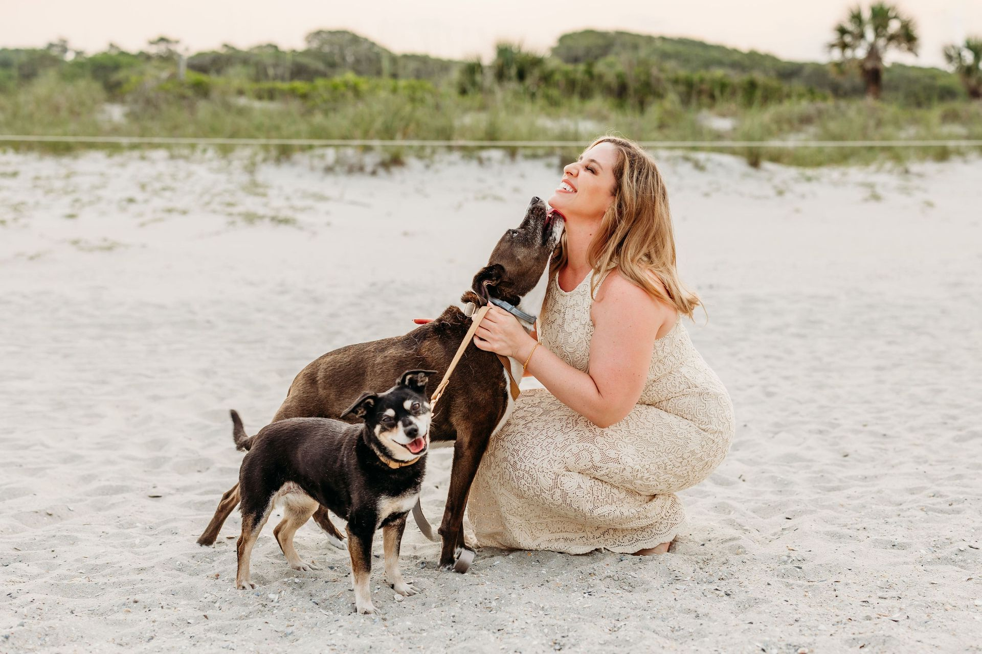 Woman on beach, surrounded by two dogs, smiling as one licks her face.