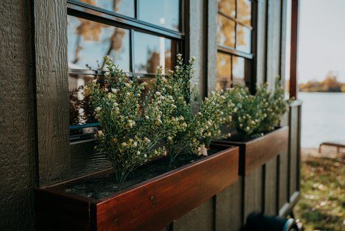 A window box with flowers in it on the side of a house.