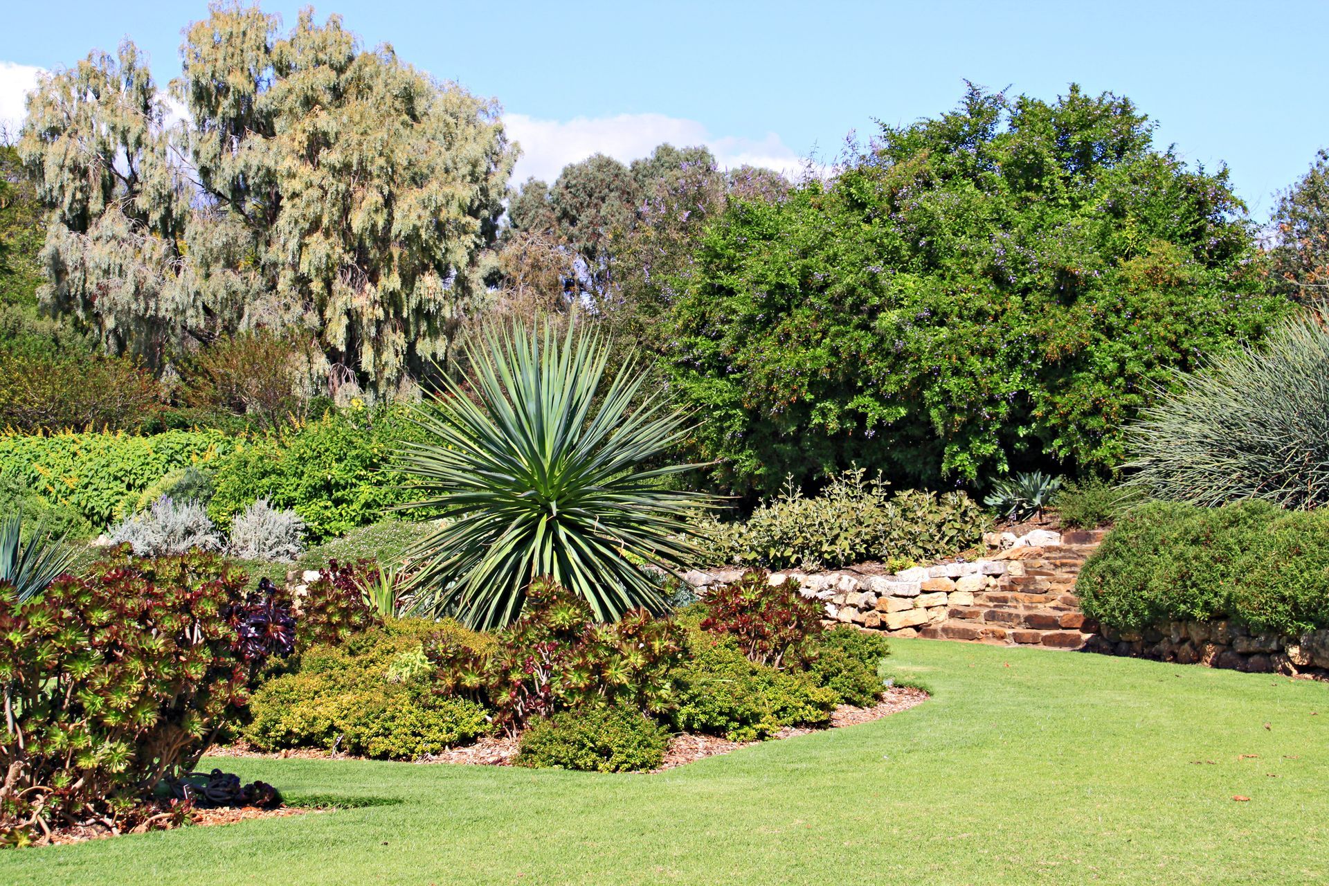A lush green garden with lots of plants and trees