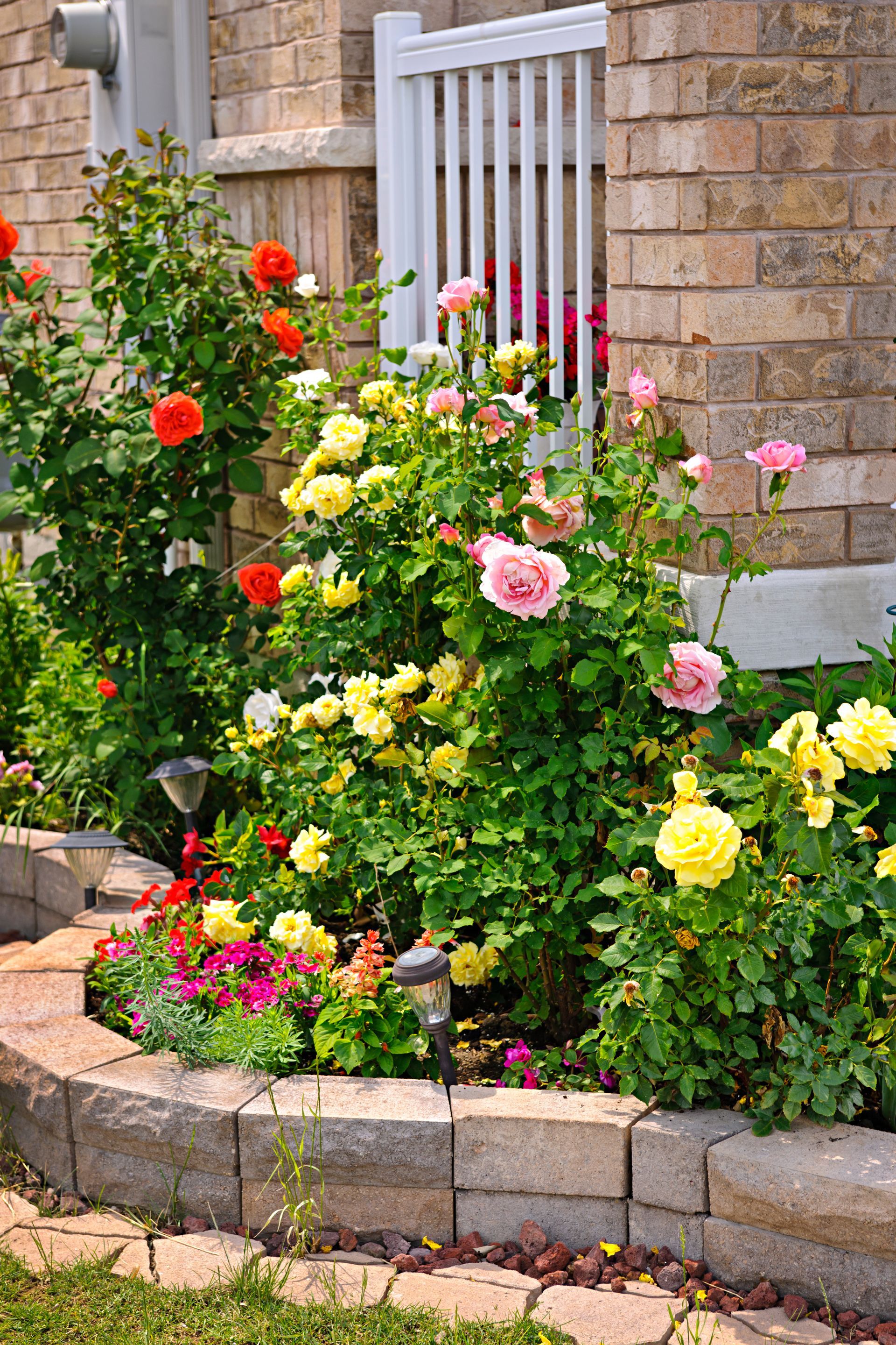 A garden with lots of flowers in front of a brick building