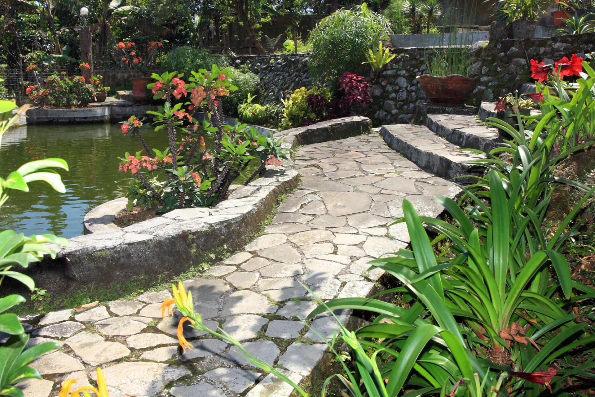 A stone path leading to a pond in a garden