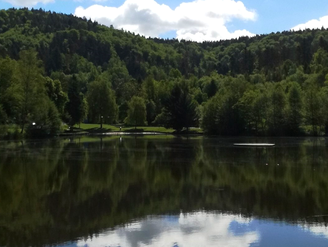 Campingplatz Waldsee — photo 4