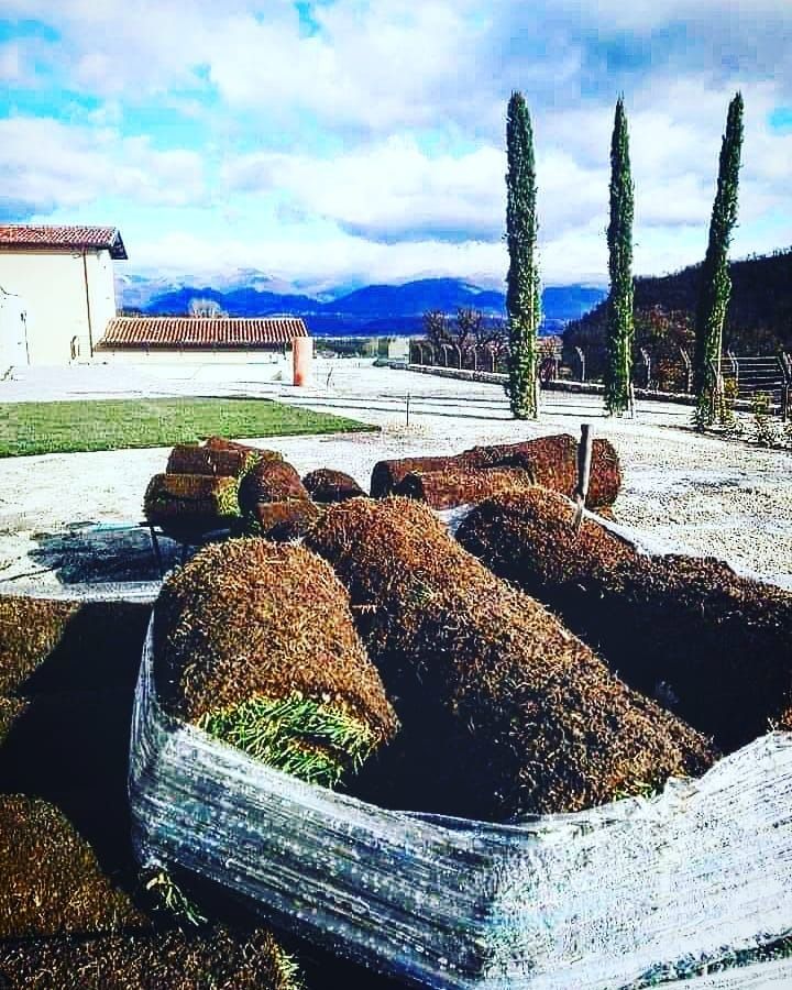 Rotoli di zolle erbose 