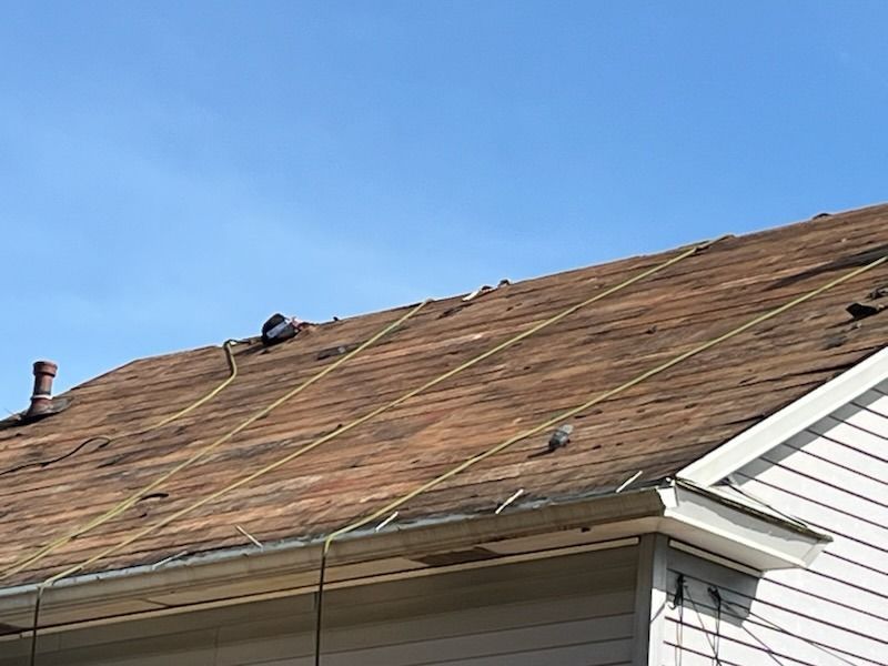 Brown roof with safety lines, pigeons, and blue sky.