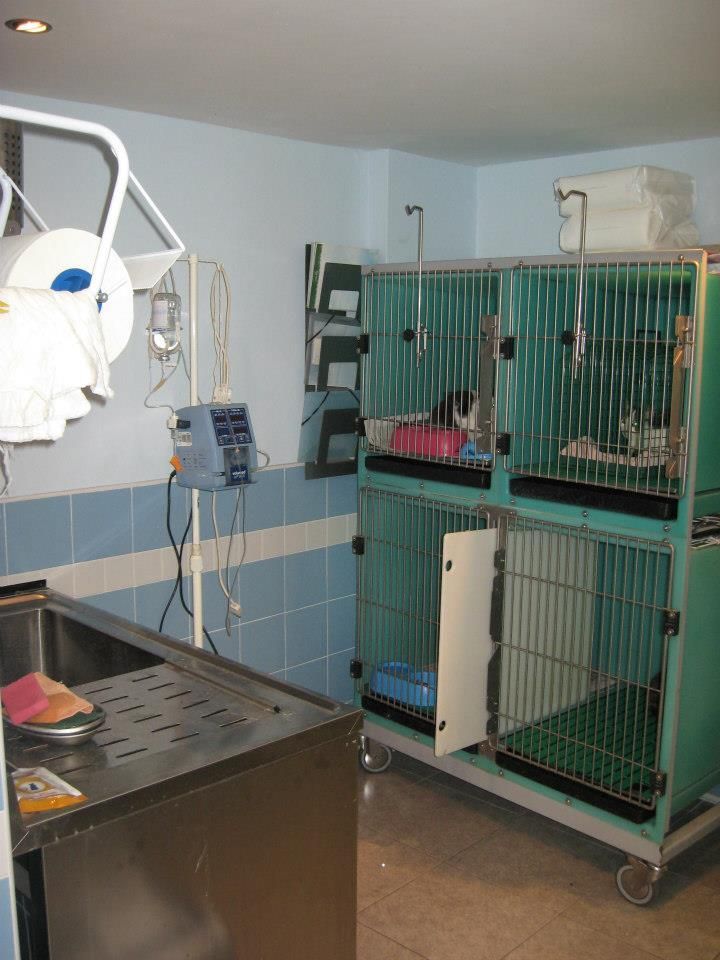 Stanza per degenza animali