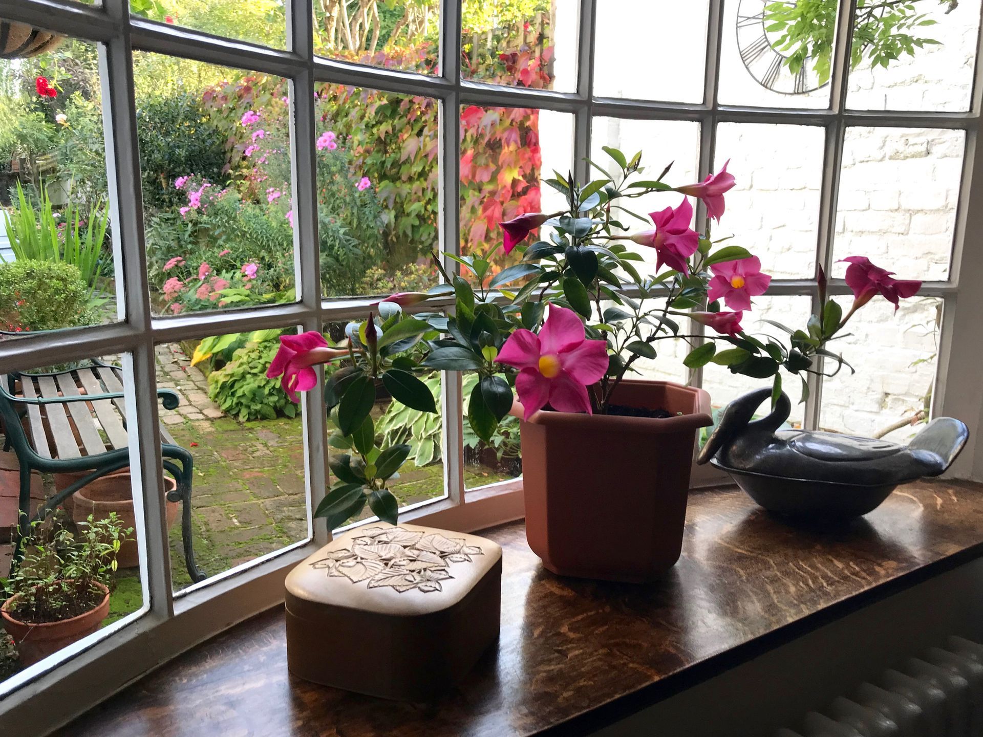 A window sill with potted plants and a clock on it