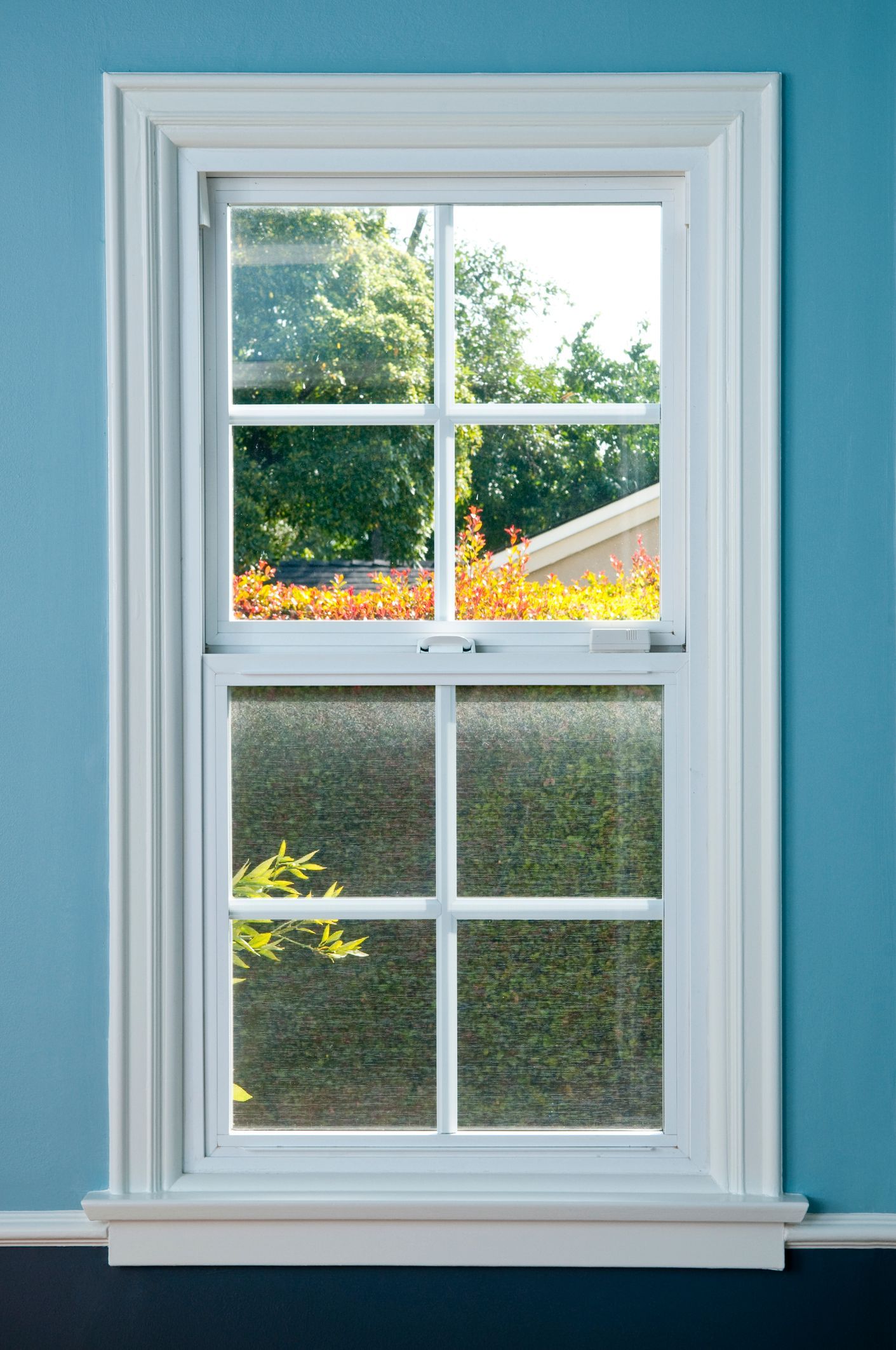 A white window with a blue wall behind it and a view of the outside.