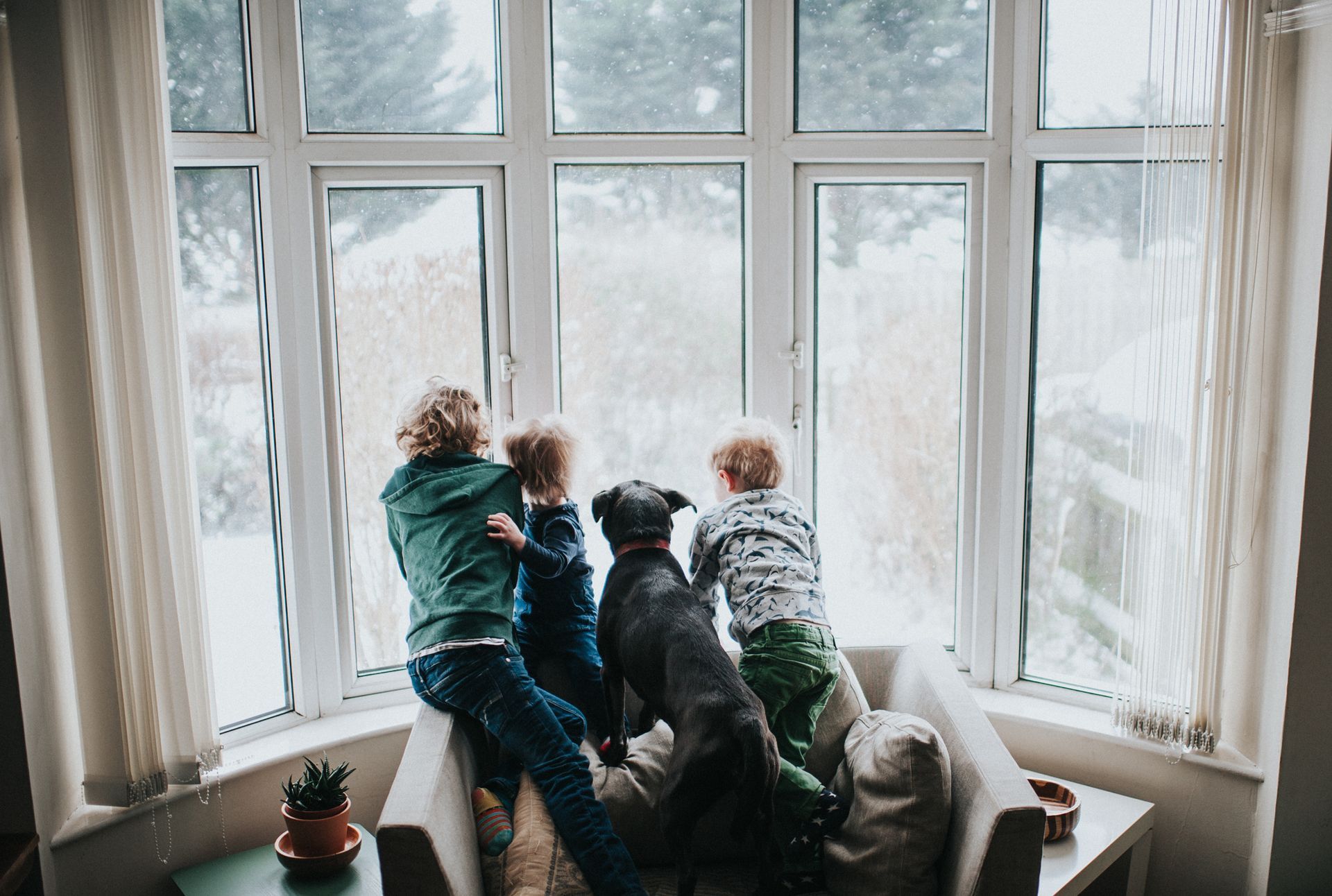 Three children and a dog are sitting on a couch looking out a window.