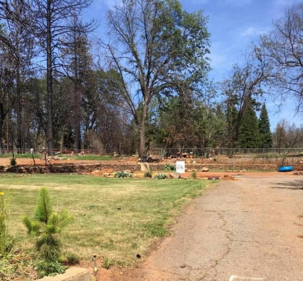 A parking lot with trees and grass in the background