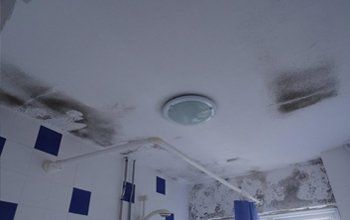 White ceiling with black mould
